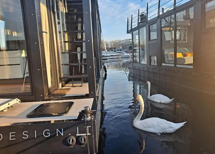 Floating Experience Black Pearl, Maggiore